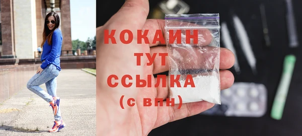 spice Пересвет