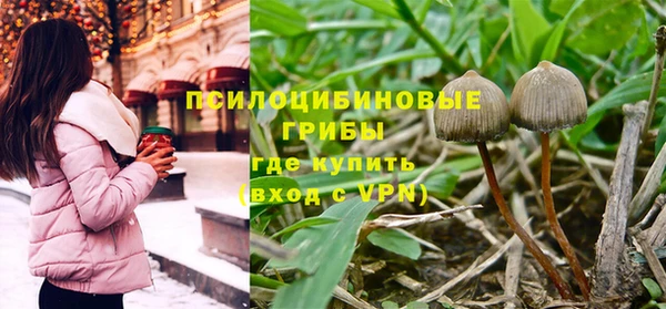 каннабис Осташков