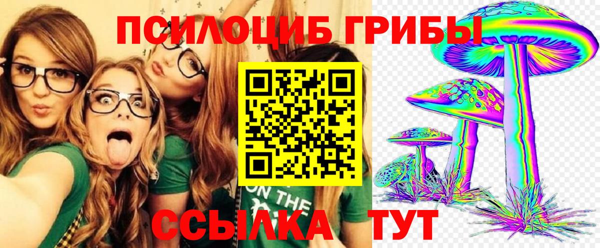 Псилоцибиновые грибы Cubensis Белогорск