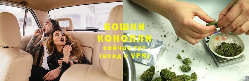 купить наркотик  Белогорск  Марихуана OG Kush 